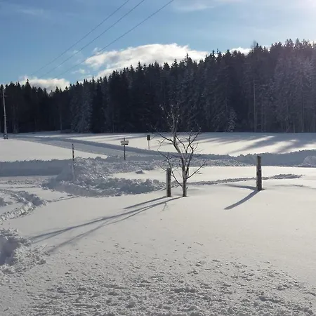 Apartment Haus Ferienglueck Ramsau am Dachstein