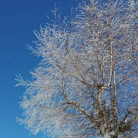 Apartment Haus Ferienglück Ramsau am Dachstein