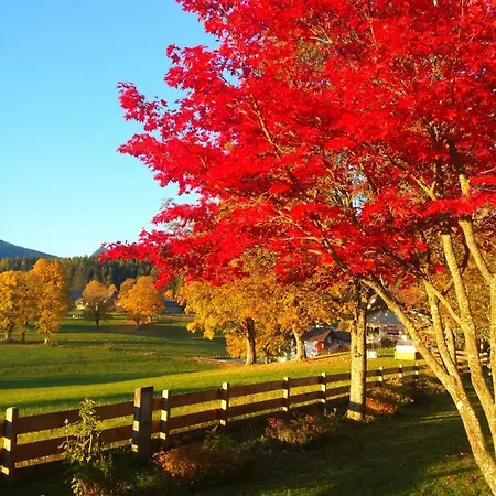 Haus Ferienglück * Ramsau am Dachstein