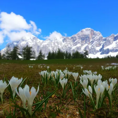 Apartment Haus Ferienglück