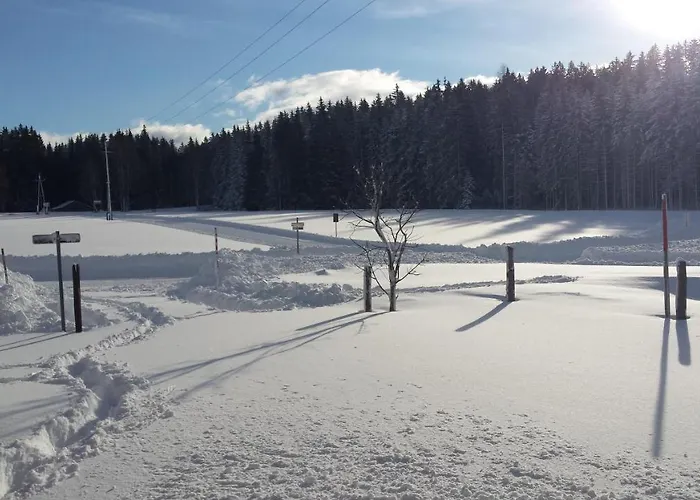 Appartement Haus Ferienglueck Ramsau am Dachstein