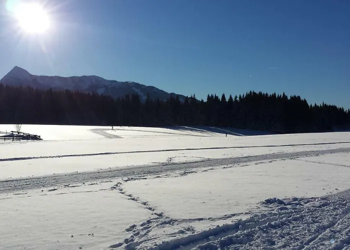 Appartement Haus Ferienglueck Ramsau am Dachstein