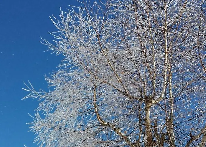 Appartement Haus Ferienglueck Ramsau am Dachstein