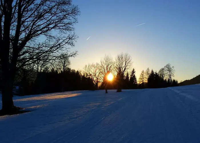 Apartment Haus Ferienglueck Ramsau am Dachstein
