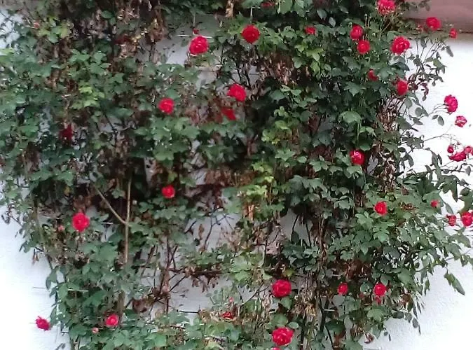 Haus Ferienglueck Appartement