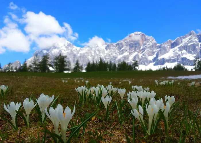 Appartement Haus Ferienglueck